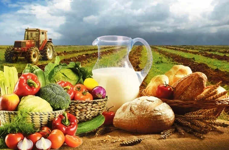 В Молдове сократилось производство сельхозпродукции